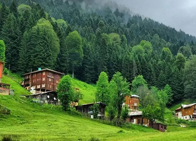 Ayder Highland