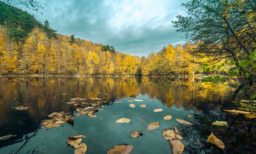 Günübirlik Yedigöller Turu