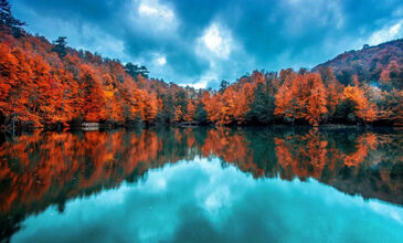 Günübirlik Yedigöller Turu