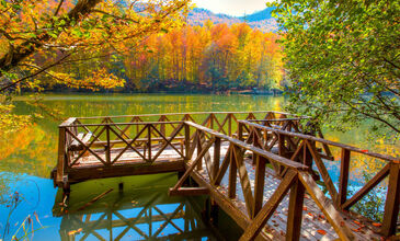 Günübirlik Yedigöller Turu