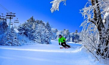 Royal Capital Otel Bursa Konaklamalı Uludağ Kayak Turu (1 Gece Otel Konaklamalı)
