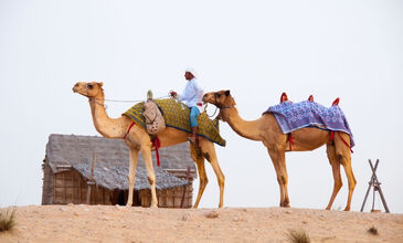 İZMİR'DEN DUBAİ TURU SunExpress Havayolları ile 4 gece DXB-DXB