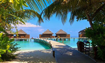 Maldivler & Singapur & Phuket Turu Türk Havayolları ile 8 Gece (MLE-HKT) FL001