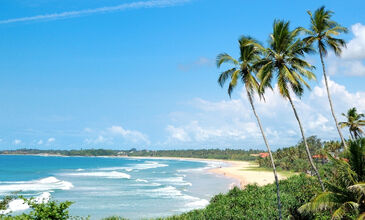 Sri Lanka Turu Air Arabia İle  Her Pazar Hareket 7 Gece