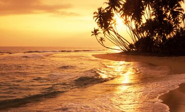 Sri Lanka Turu Air Arabia İle  Her Pazar Hareket 7 Gece