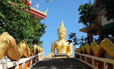 Elegant Bangkok & Phuket & Pattaya THY ile 6 Gece 8 Gün BKK-BKK FL001