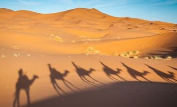 Elegant Sahra Çölü & Fas Turu Türk Havayolları ile 7 Gece 8 Gün RAK-CMN FL001