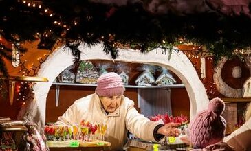 Otobüs ile Orta Avrupa Noel Pazarları Turu 7 Gece MT001