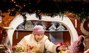 Elegant Noel Pazarları Turu Türk Havayolları ile 3 Gece (BSL-BSL) FL001