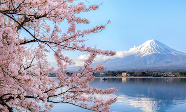 Mega Japonya & Kore Turu THY ile 24 Gece 26 Gün EJ001 2026