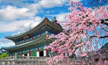 Elegant Japonya & Güney Kore THY ile 9 Gece ( ICN-NRT ) FL001