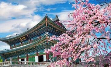 Elegant Japonya & Güney Kore THY ile 9 Gece ( ICN-NRT ) FL001